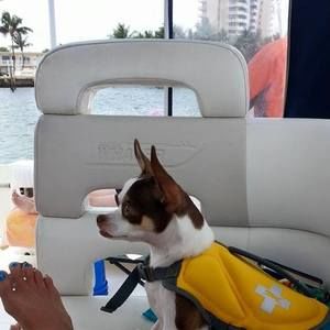 Meet your Posher, Debbie